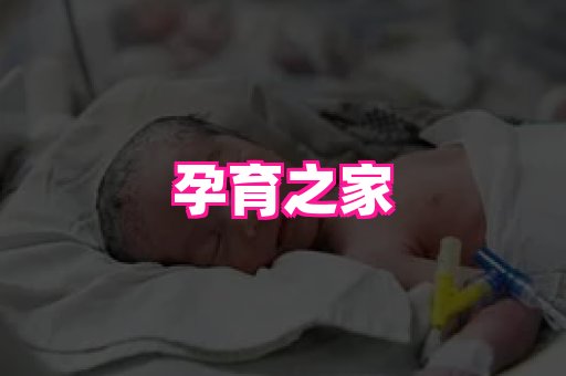 gfg孕网 1
