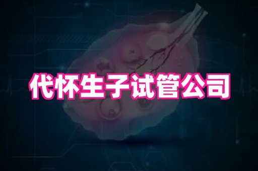 gfg孕网 2